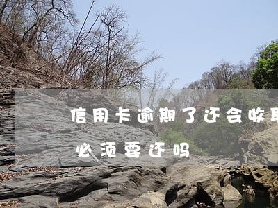 信用卡逾期了还会收取年费吗(欠信用卡年费必须要还吗)