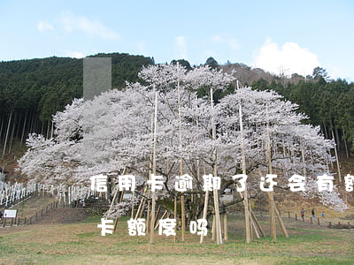 信用卡逾期了还会有额度么(逾期会影响信用卡额度吗?)