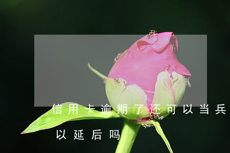 信用卡逾期了还可以当兵吗(去当兵信用卡可以延后吗?)