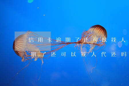 信用卡逾期了还可以找人代还吗-信用卡逾期了还可以找人代还吗
