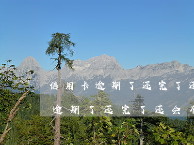 信用卡逾期了还完了还会有额度了-信用卡逾期了还完了还会有额度了吗