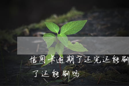 信用卡逾期了还完还能刷吗(逾期的信用卡还了还能刷吗)