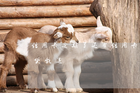 信用卡逾期了还有(信用卡逾期了还有什么网贷能过)