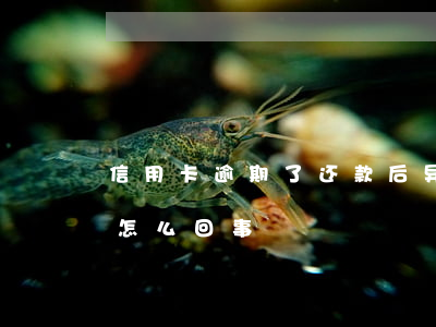 信用卡逾期了还款后异常(信用卡还款异常是怎么回事)