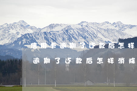 信用卡逾期了还款后怎样消除逾期-信用卡逾期了还款后怎样消除逾期记录