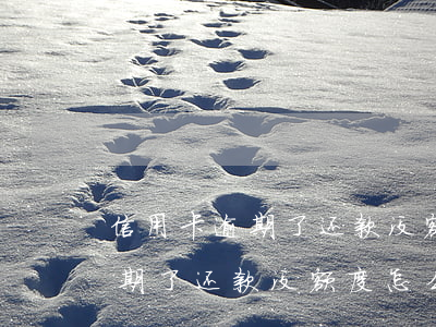 信用卡逾期了还款没额度怎么办-信用卡逾期了还款没额度怎么办呢
