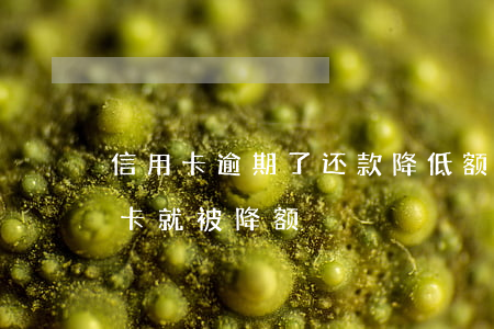 信用卡逾期了还款降低额度了-刚还完信用卡就被降额
