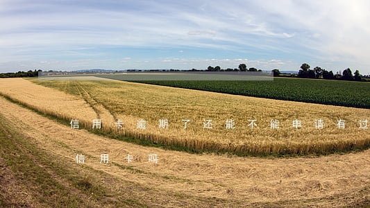 信用卡逾期了还能不能申请(有过逾期能申请信用卡吗)