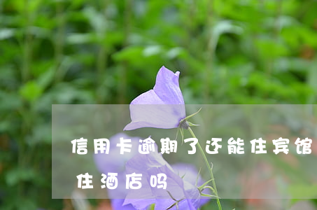信用卡逾期了还能住宾馆吗(贷款逾期的可以住酒店吗)