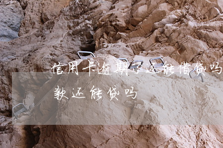 信用卡逾期了还能借贷吗(信用卡逾期银行贷款还能贷吗)