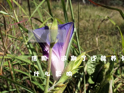 信用卡逾期了还能养卡不(信用卡逾期不还有什么影响)