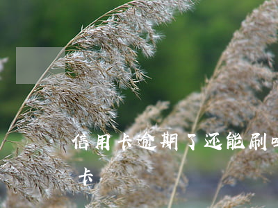 信用卡逾期了还能刷吗 逾期过后还能办信用卡