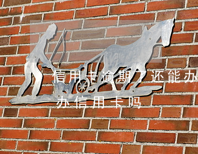 信用卡逾期了还能办存储卡吗(有过逾期还能办信用卡吗)