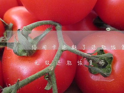 信用卡逾期了还能恢复使用吗 逾期得信用卡无效还能恢复吗