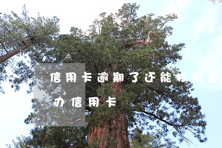 信用卡逾期了还能打疫苗吗(逾期了还能不能办信用卡)
