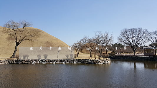 信用卡逾期了还能火车票么(行用卡逾期可以买动车票么)