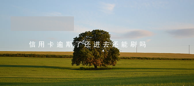 信用卡逾期了还进去还能刷吗