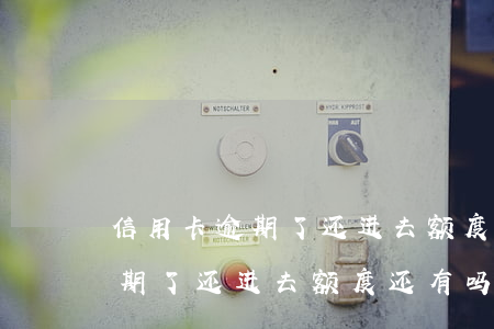 信用卡逾期了还进去额度还有吗-信用卡逾期了还进去额度还有吗怎么办