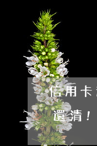 信用卡逾期了過去5年(五年前信用卡逾期已還清!還怎么辦信用卡)