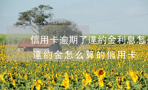 信用卡逾期了違約金利息怎么計(jì)算(違約金怎么算的信用卡)