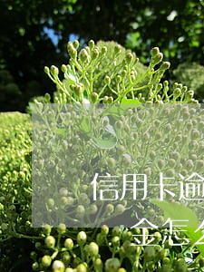 信用卡逾期了違約金可以不給嗎(欠信用卡違約金怎么減免)
