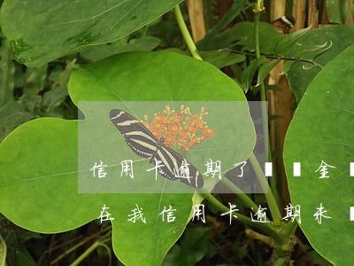 信用卡逾期了違約金還不起(現(xiàn)在我信用卡逾期未還)
