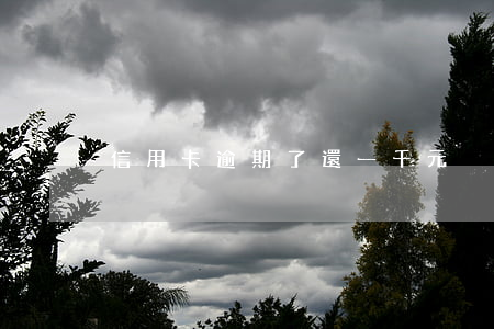 信用卡逾期了還一千元