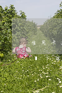 信用卡逾期了還一點會影響嗎-為什么明明還了信用卡還逾期