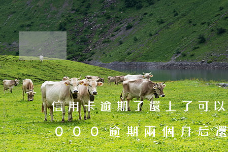 信用卡逾期了還上了可以坐飛機嗎(信用卡8000逾期兩個月后還,不能坐飛機?)