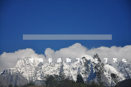 信用卡逾期了還上了怎么解凍