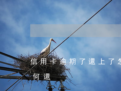 信用卡逾期了還上了怎么辦(逾期了信用卡如何還)