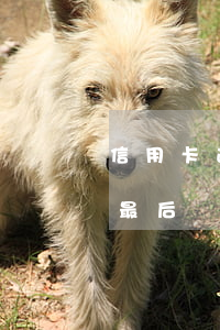 信用卡逾期了 還不上-信用卡逾期了 還不上最后會怎么辦