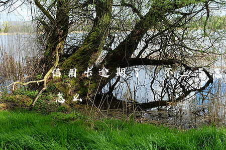 信用卡逾期了還不上了怎么辦(有信用卡逾期怎么辦)