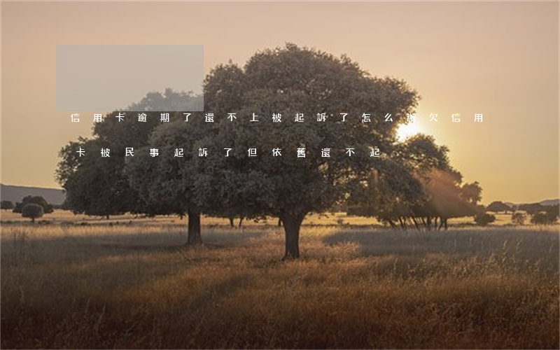 信用卡逾期了還不上被起訴了怎么辦(欠信用卡被民事起訴了 但依舊還不起)
