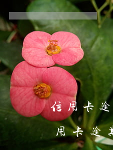 信用卡逾期了還不了了(沒(méi)注意信用卡逾期了)