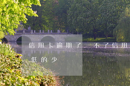 信用卡逾期了還不了(信用卡逾期了還不了最低的少還點)