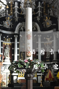 信用卡逾期了還不了款怎么辦(所有的貸款信用卡逾期了怎么辦)