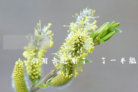 信用卡逾期了還了一半能消費(fèi)嗎