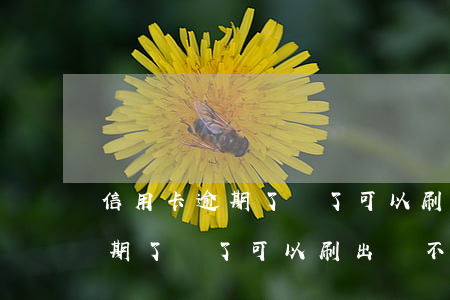 信用卡逾期了還了可以刷出來不-信用卡逾期了還了可以刷出來不還嗎