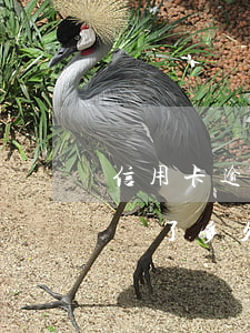 信用卡逾期了還了多久變白戶(信用卡逾期了還了多久變白戶了)
