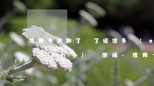 信用卡逾期了還了征信多長(zhǎng)時(shí)間消除-信用卡逾期了還了征信多長(zhǎng)時(shí)間消除記錄