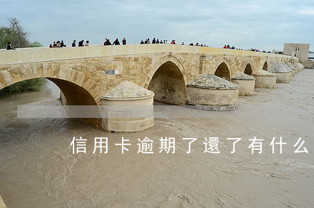 信用卡逾期了還了有什么影響