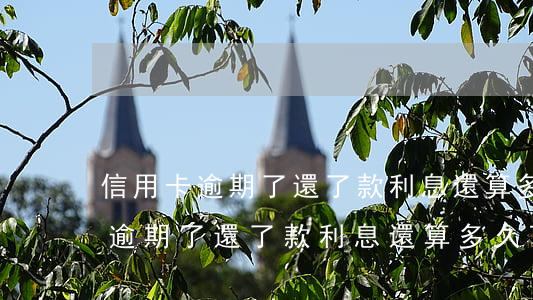 信用卡逾期了還了款利息還算多久-信用卡逾期了還了款利息還算多久可以用