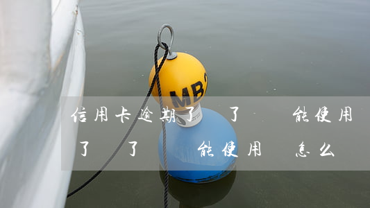 信用卡逾期了還了錢還能使用嗎(信用卡逾期了還了錢還能使用嗎怎么還)
