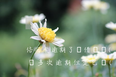 信用卡逾期了還借唄會(huì)影響嗎 借唄多次逾期但是已經(jīng)還完,對申請信用卡有影響嗎!