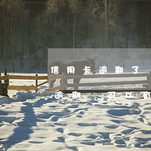 信用卡逾期了還全額還免息嗎(為什么信用卡逾期還可以有減免)