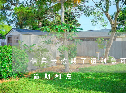信用卡逾期了還利息可以嗎(信用卡 逾期罰息 逾期利息)