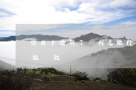 信用卡逾期了還利息能行嗎(有信用卡逾期還能貸款嗎)