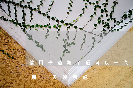 信用卡逾期了還可以一次性還罵(還信用卡逾期一天沒事吧)