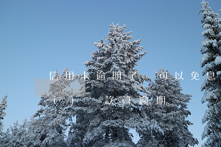 信用卡逾期了還可以免息嗎(免息期內(nèi)還款算逾期嗎)